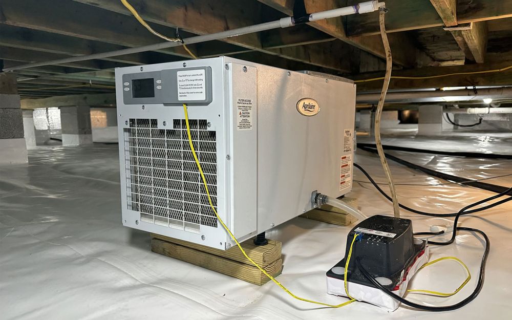 Dehumidification & Moisture Control — Crawlspace Services of NEPA (Henryville, PA)
